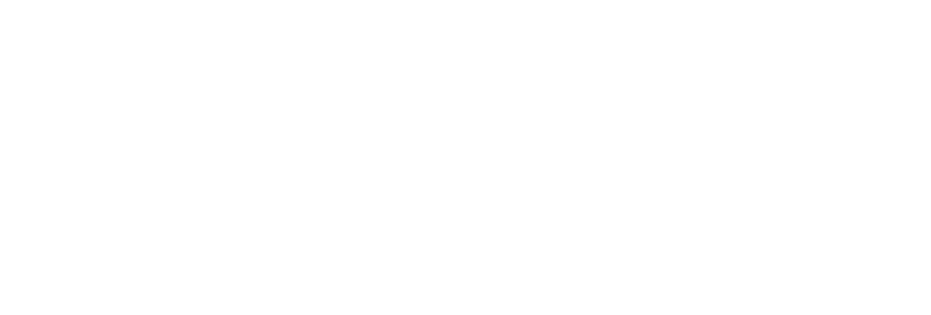 Jai V. Pareek