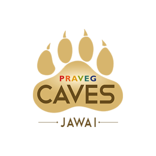 Client logo 20