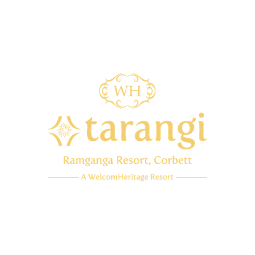 Client logo 18